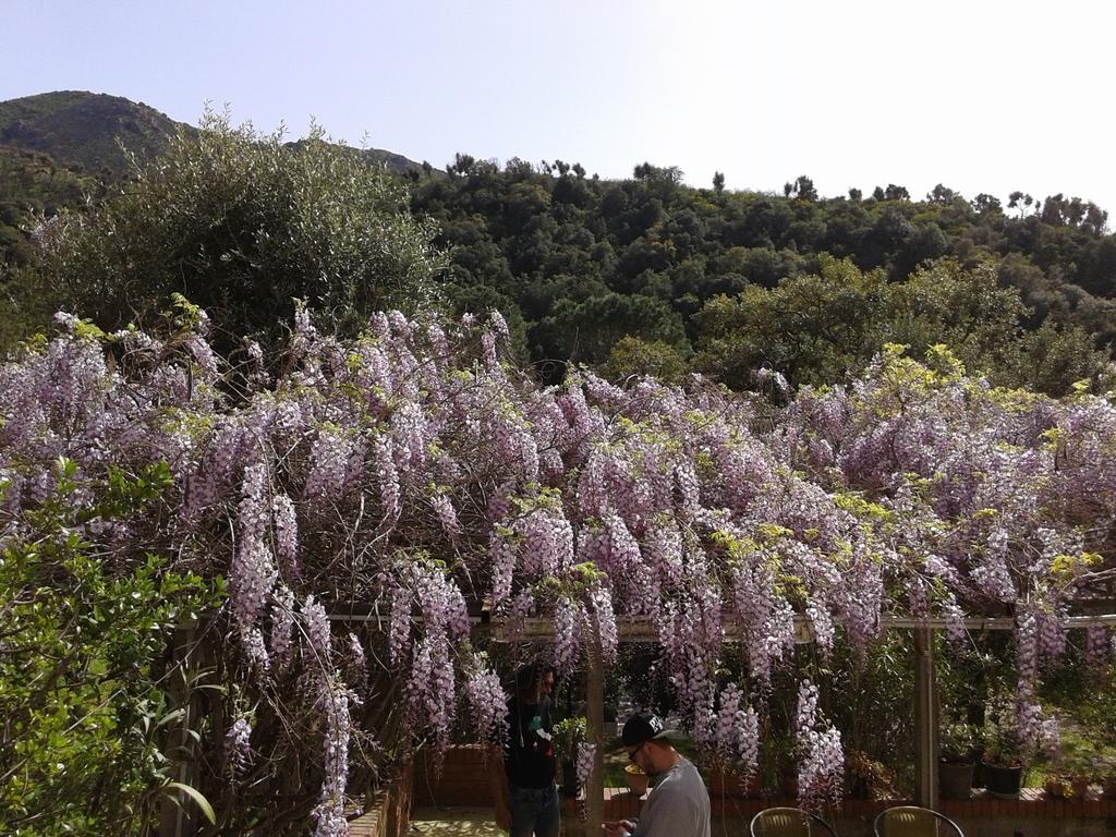La Quercia San Gregorio (Sardinia)